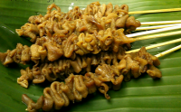 Usus 1